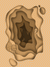 Gif Rehe